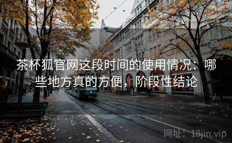 茶杯狐官网这段时间的使用情况：哪些地方真的方便，阶段性结论