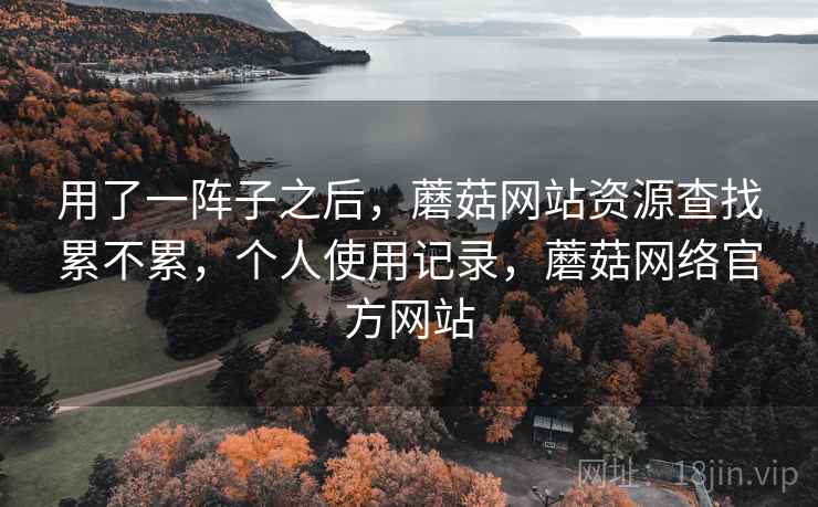 用了一阵子之后，蘑菇网站资源查找累不累，个人使用记录，蘑菇网络官方网站