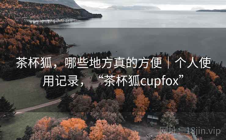 茶杯狐，哪些地方真的方便｜个人使用记录，“茶杯狐cupfox”